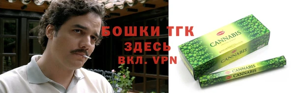 гашик Нея