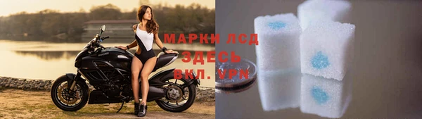 гашик Нея