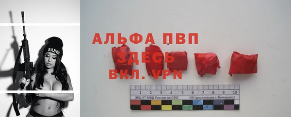молекула духа Новозыбков