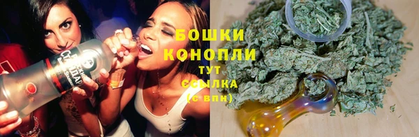 МДПВ Новокубанск