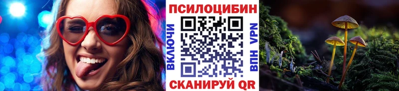 Купить где  Междуреченск  Псилоцибиновые грибы Cubensis 